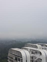 Eco Sanctuary (D23), Condominium #148569652